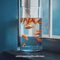 Avatar of Mai Xuân Trang